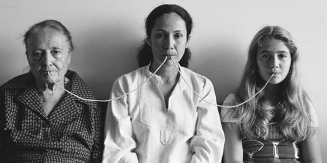 Crédito: divulgação