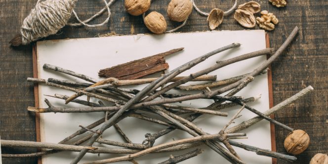 Crédito: divulgação