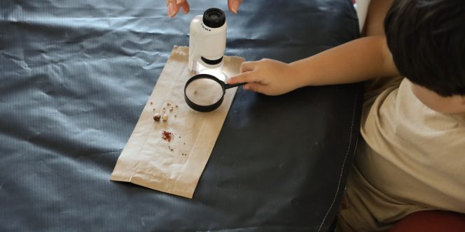 Foto Pedro Henrique Gomide