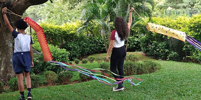 Boitata (Foto Ana Carolina Portilho Nicoletti Skaf Brax)