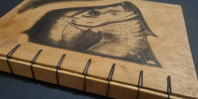 Cred: Kamila Vasques 