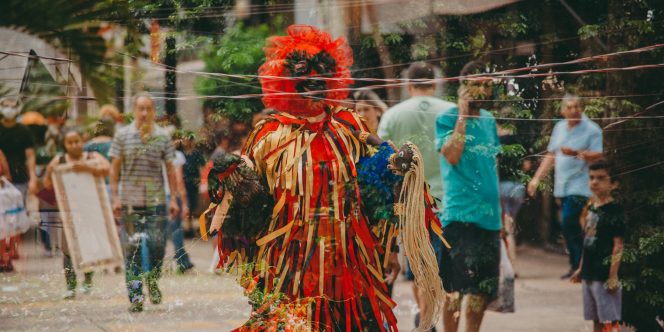 Tarântula Transita (Foto Gabriel Augusto)