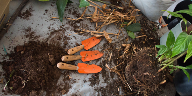 Foto: Mirella Ghiraldi