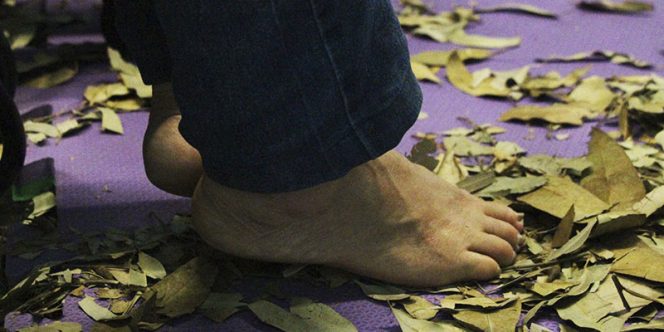 Foto: Stephany Tiveron