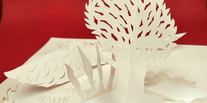 Créditos: Divulgação