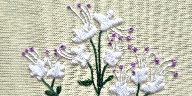 Cred: Rafael D. Adaime