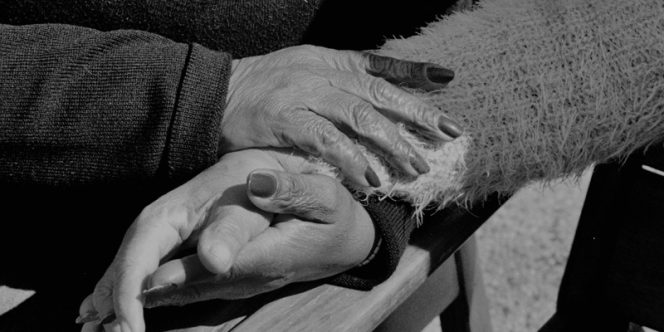 Foto: Brenda Carvalho 