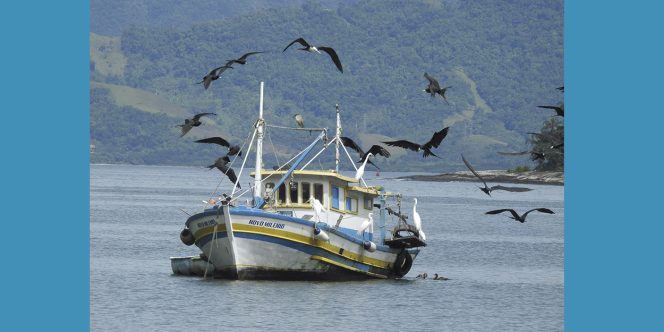 Foto:Felipe Süssekind