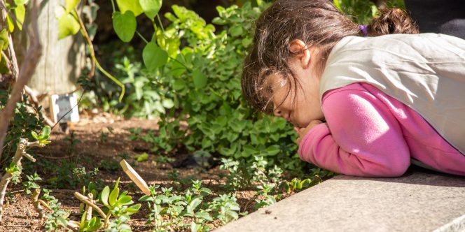 Foto Mirella Ghiraldi