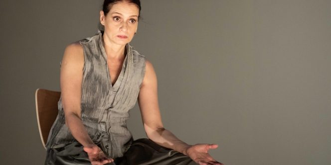 Denise Fraga - Foto: Cacá Bernardes