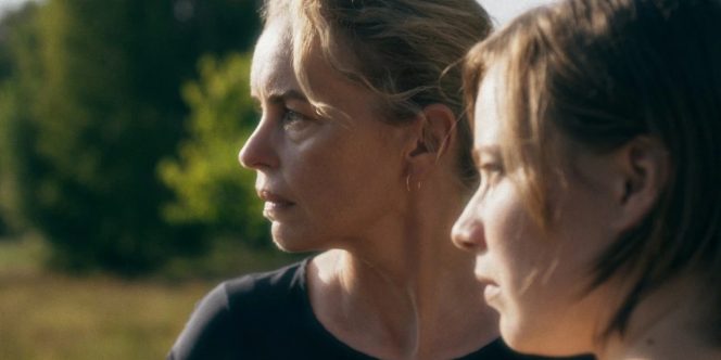 Cigarras (Foto Divulgação)