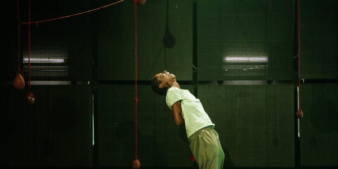 Parto Pavilhão (Foto Noelia Nájera)