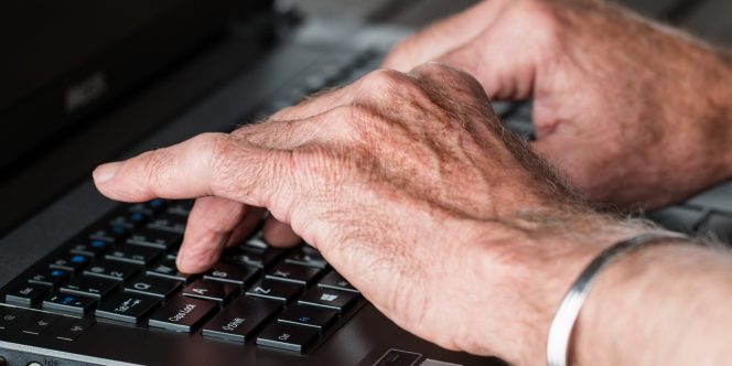 Foto: Divulgação/Pixabay