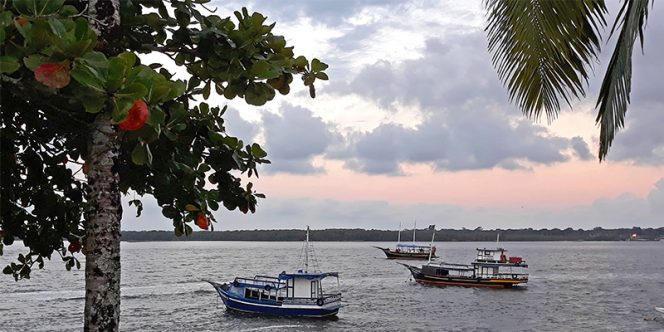 Foto: Mayara Vergotti