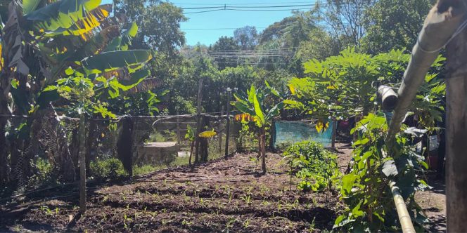 Produtos agroecológicos