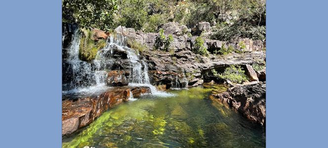 Foto: Suzana G Saldanha