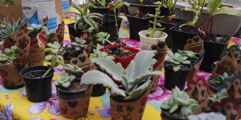 Imagem destacada sobre o post em questão.