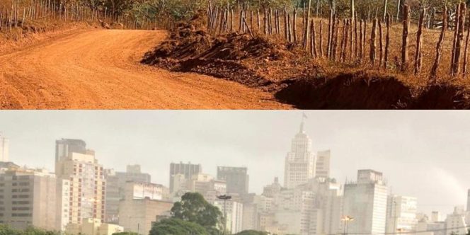 Divulgação