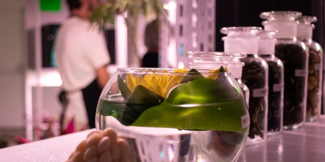 Obra de Giselle Beiguelman / Foto: Natt Fejfar