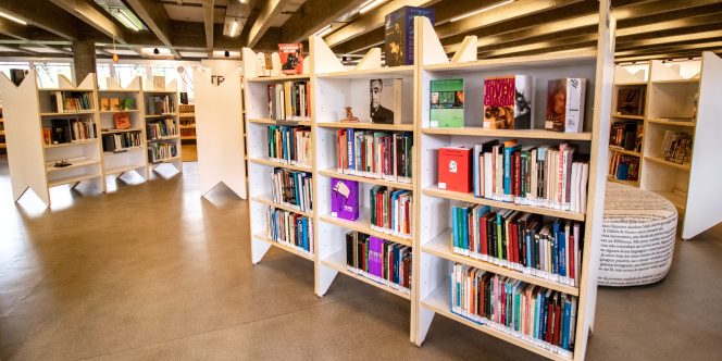 Literatura - Foto: Natt Fejfar