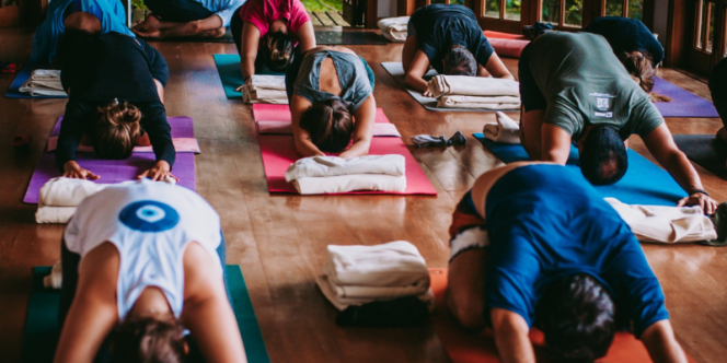 Ayurveda e saúde - Foto: Daniele Bortoleto