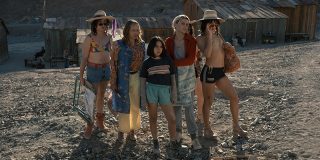 O Olhar Misterioso Do Flamingo