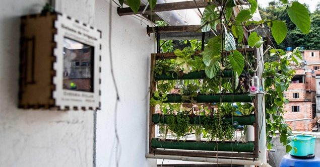 Foto: Periferia Sustentável