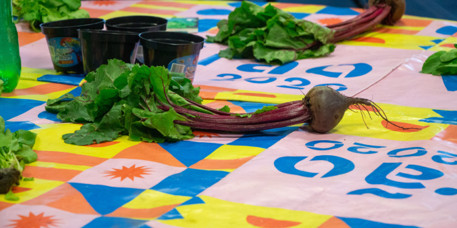 Foto Eduardo Valentim