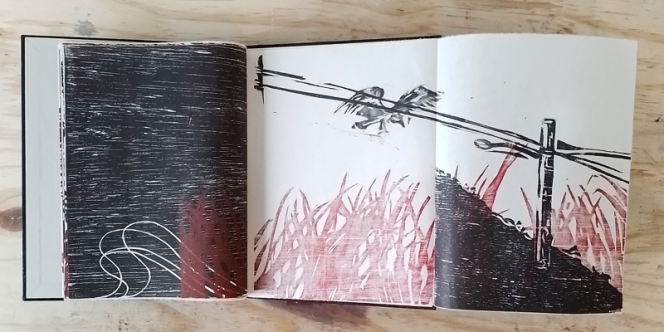 Foto: Divulgação