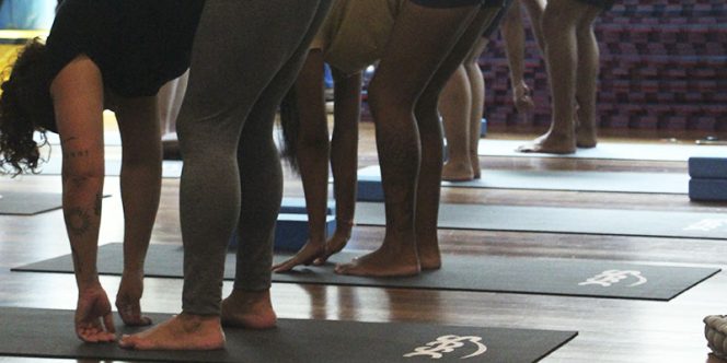 Foto: Stephany Tiveron