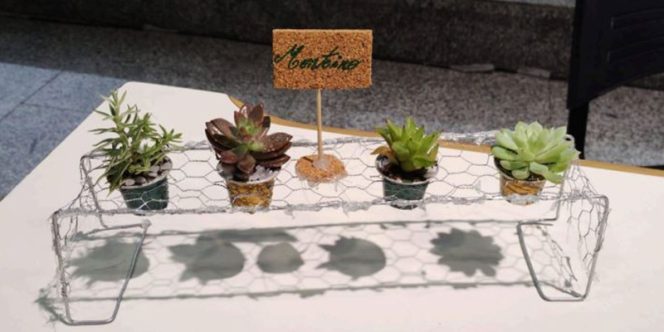 Acervo Ateliê das Velhas