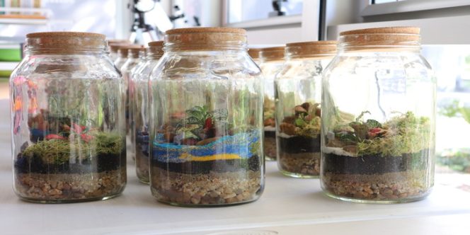 Foto: Estella Heimann