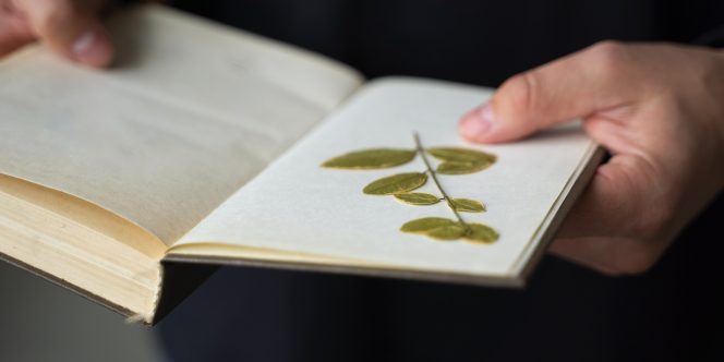 Foto: model_holding_book_with_flowers