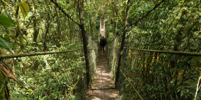 Foto de divulgação.