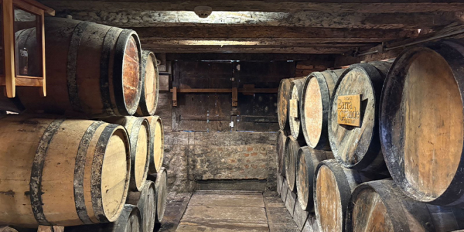 Foto: Vitor Hugo Vieira