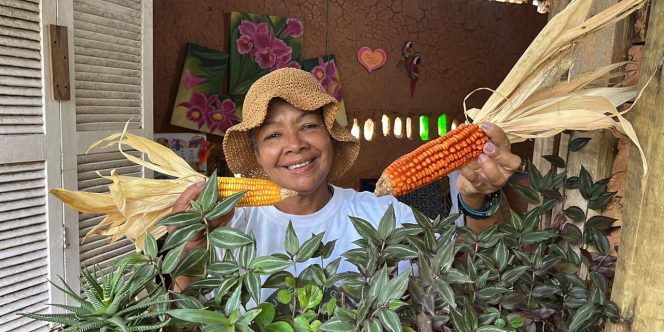 Vem fazer a Feira! Africanidades da terra e da alma