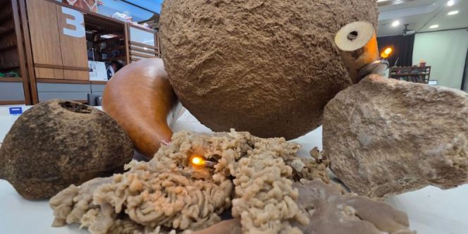 CRIA - Ateliê para Crianças Vestígios do infinito - Divulgação