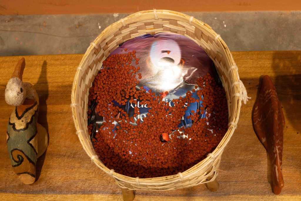 G2 Andre Felipe e Coletivo Caianas OBRA Um Encontro de Terras 0005