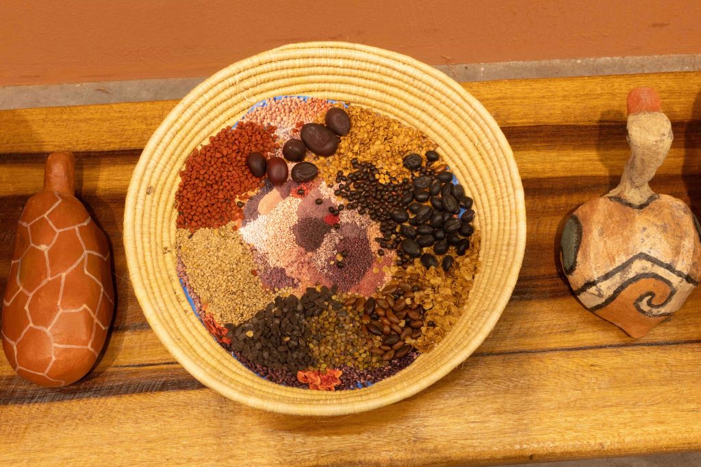 G2 Andre Felipe e Coletivo Caianas OBRA Um Encontro de Terras 0014