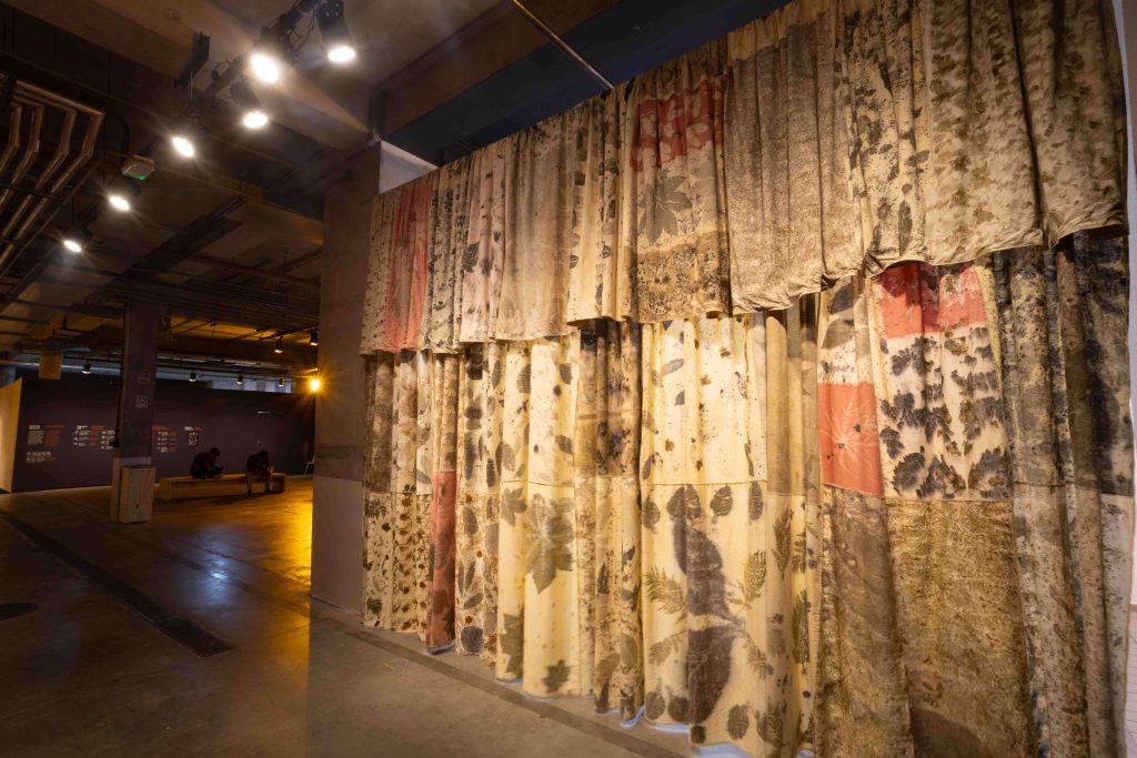 G2 Regina Pereira 0002 | Frestas 2026