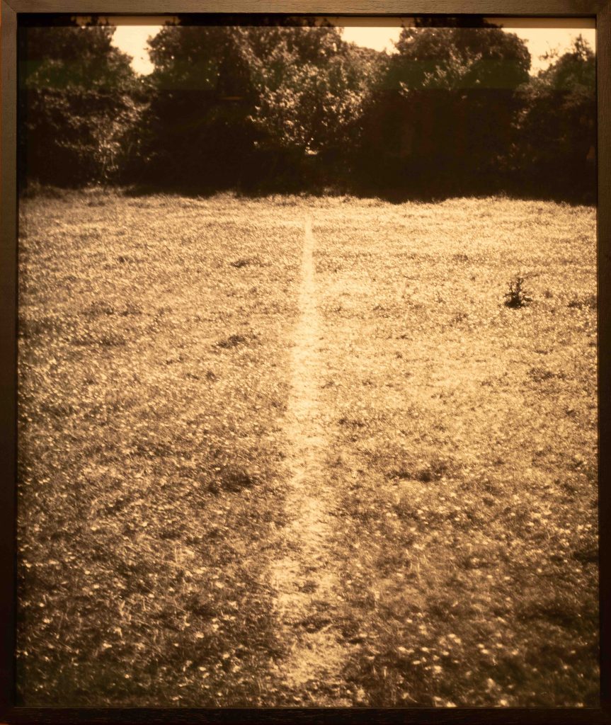 Sorocaba 06 de março de 2026 | 4ª edição da Frestas – Trienal de Artes no Sesc Sorocaba que ocorre de 28 de fevereiro a 16 de agosto de 2026, com o tema "do caminho um rezo | 03 G2 Richard Long | Obra A line Walkin by Walking  | Foto: Nilton Fukuda