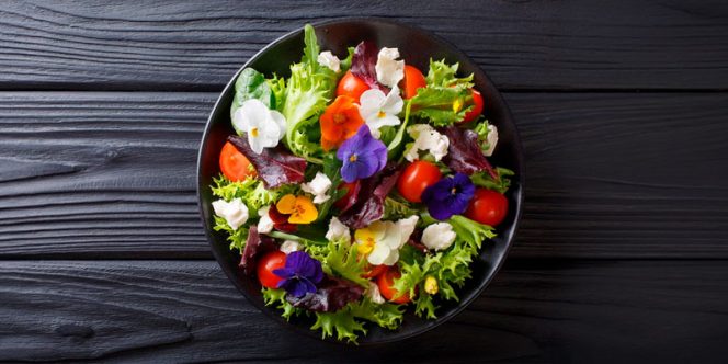 Pancs: Os sabores que a gente não conhece