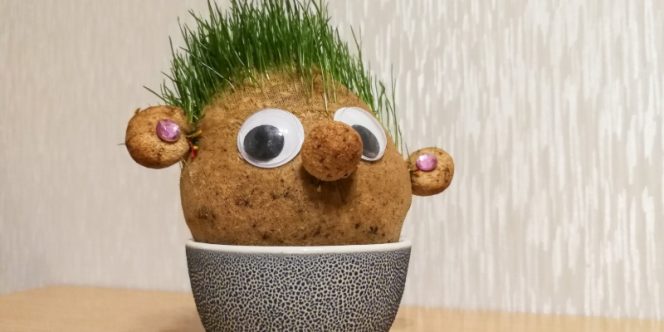 crédito: Audrius Merfeldas
