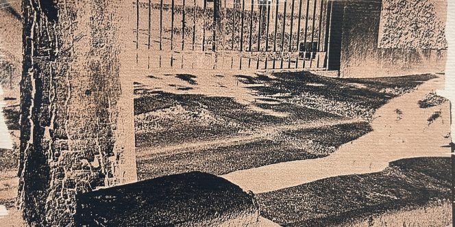 Foto: Carolina Engler