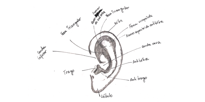 Foto: Arquivo pessoal Renata Gelamo