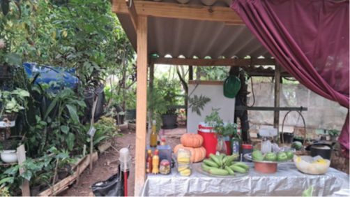 Caravana Agroecológica