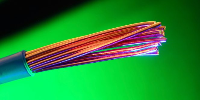 Foto: Pexels / Nic Wood