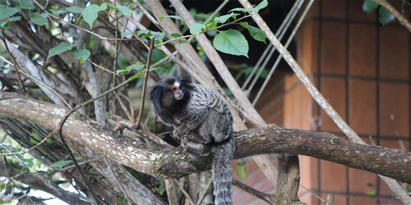 Imagem destacada sobre o post em questão.