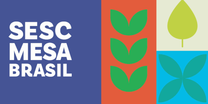 Foto Divulgação