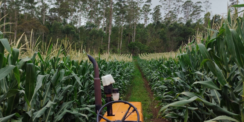Imagem destacada sobre o post em questão.